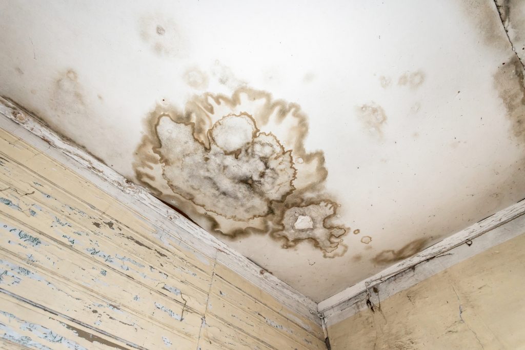 Lekkage Plafond met zichtbare waterschade en vochtplekken in Rotterdam